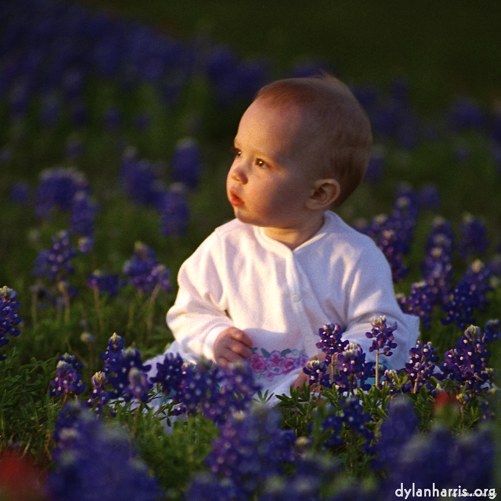 Image 'family (iv) 3'.