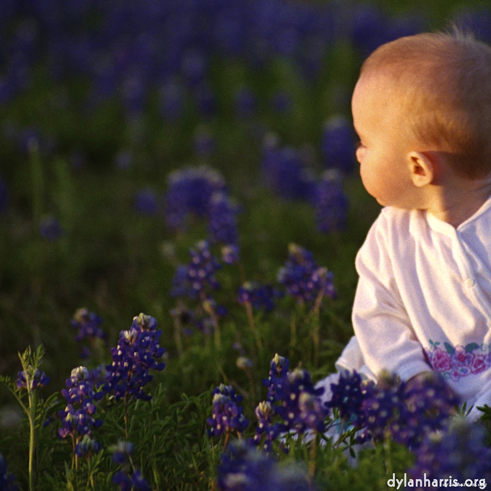 Image 'family (iv) 4'.