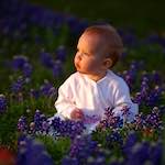 Third image from the photoset 'family (iv)'.