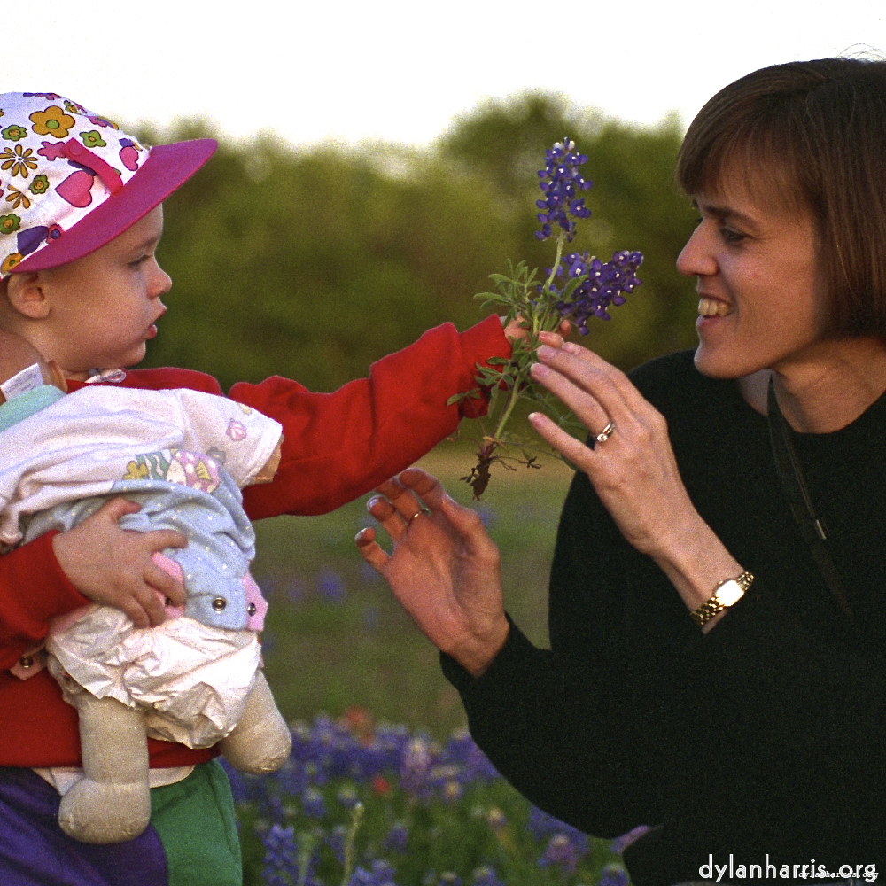 Image 'family (v) 1'.