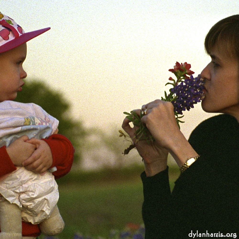 Image: Image 'family (v) 2'.