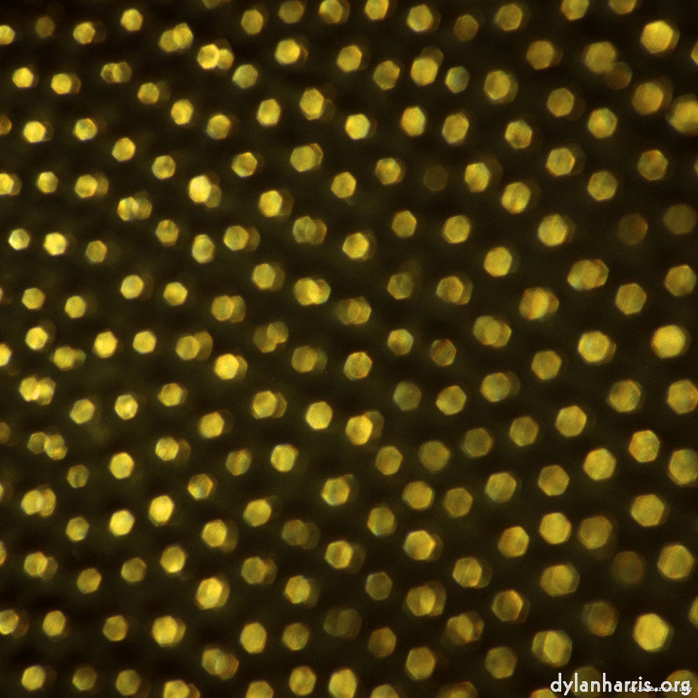 Image 'untitled (xvii) 4'.