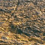 Sixth image from the photoset 'untitled (xvii) '.