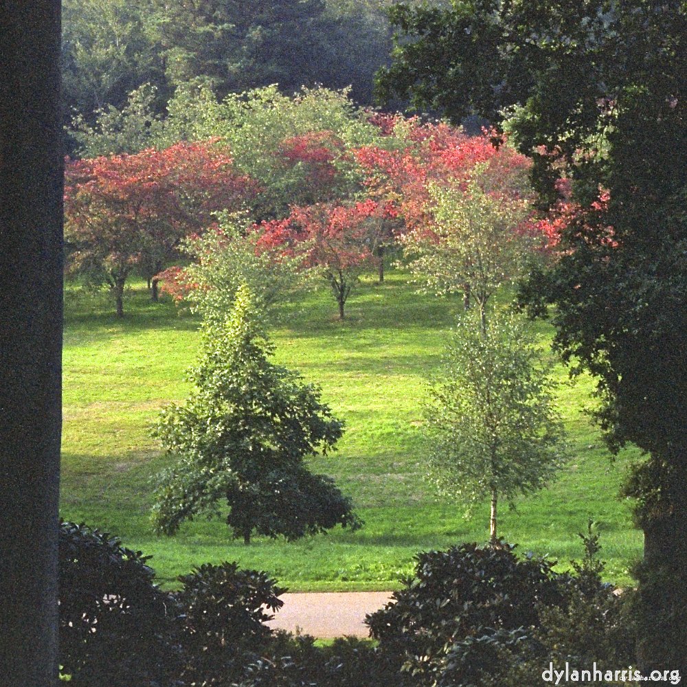 image: This is &lsquo;wood (xi) 3&rsquo;.