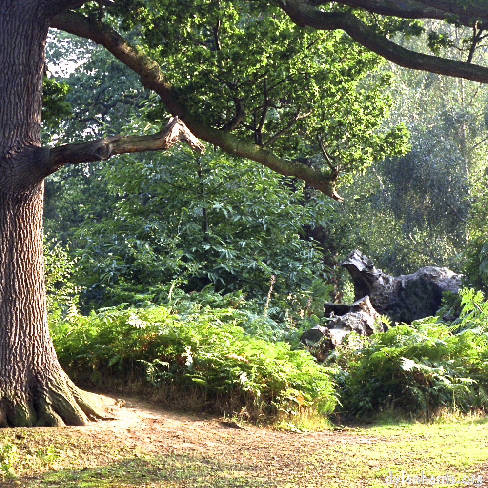 image: This is &lsquo;wood (xi) 4&rsquo;.