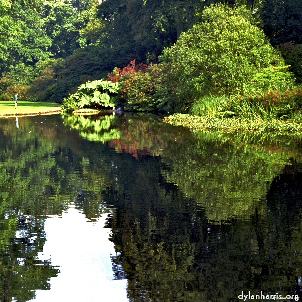 Image 'wood (xi) 5'.