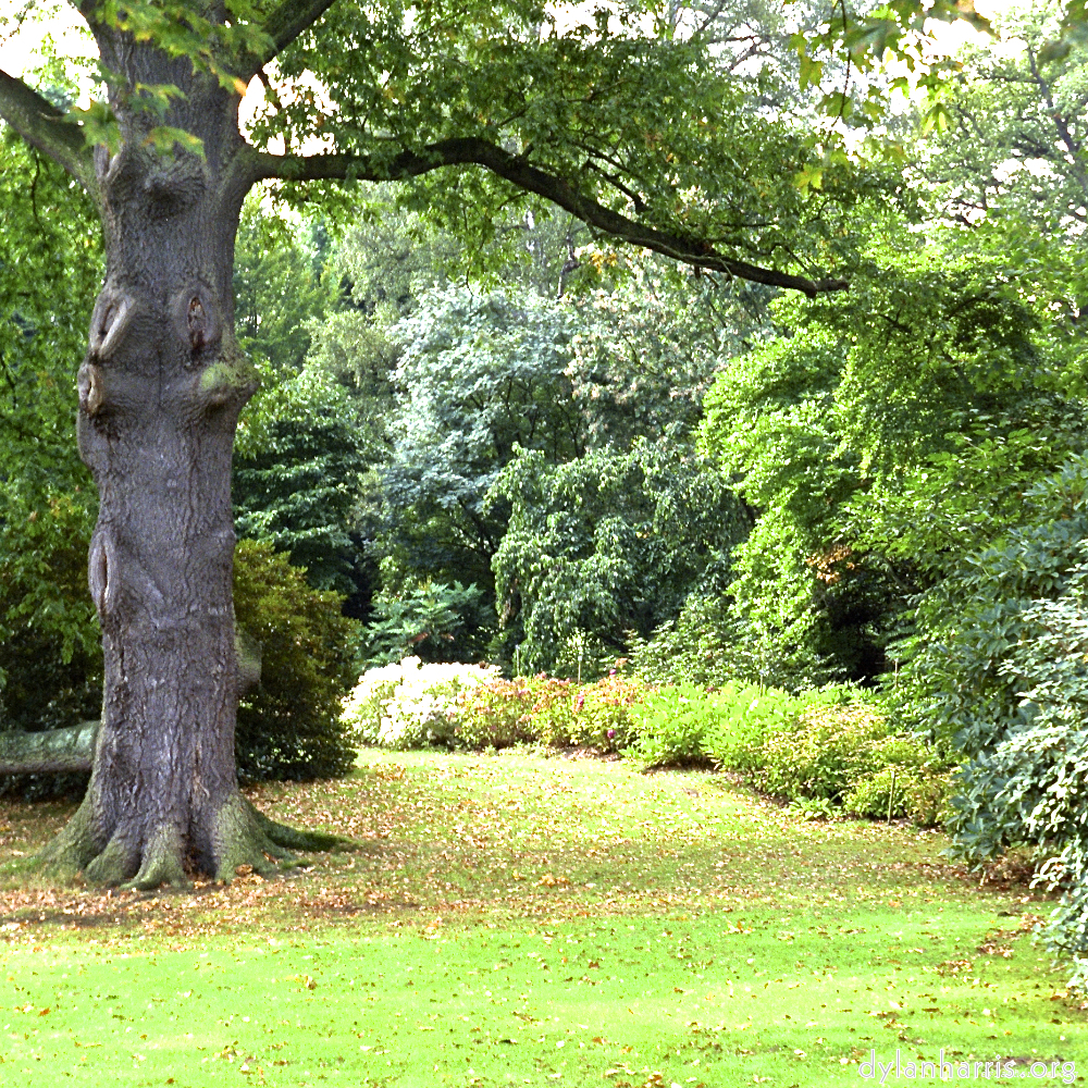 image: This is &lsquo;wood (xi) 8&rsquo;.