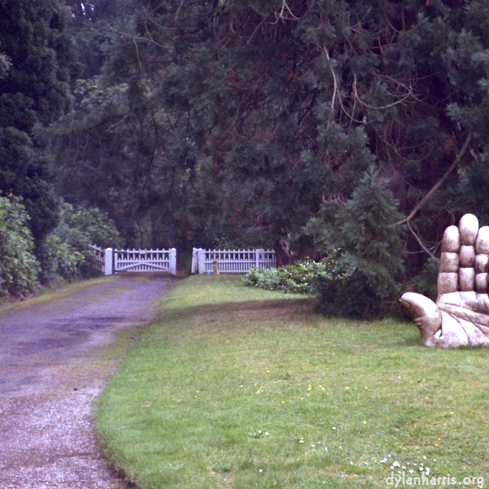 image: This is &lsquo;wood (xi) 9&rsquo;.