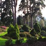 Second image from the photoset 'wood (xi)'.