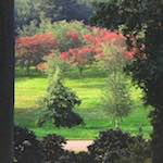 Third image from the photoset 'wood (xi)'.