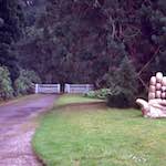 Ninth image from the photoset 'wood (xi)'.