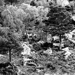 Third image from the photoset 'highlands (ii)'.