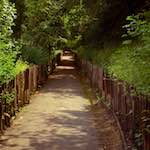 Image: Second image from the photoset 'untitled (xix)'.