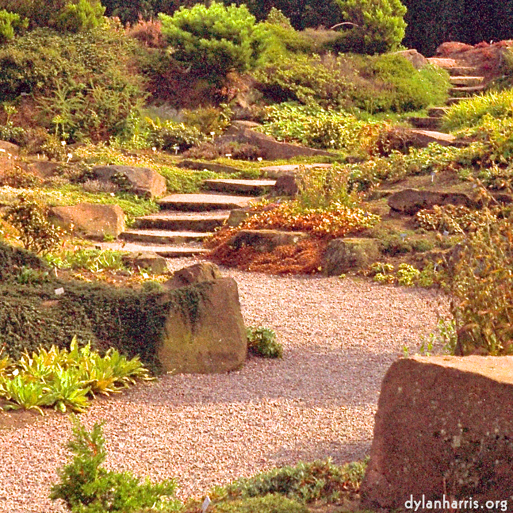 Image: Image 'flower (ii) 2'.