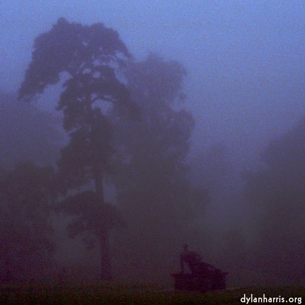 Image 'norwich (i) 7'.