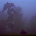 Seventh image from the photoset 'norwich (i)'.