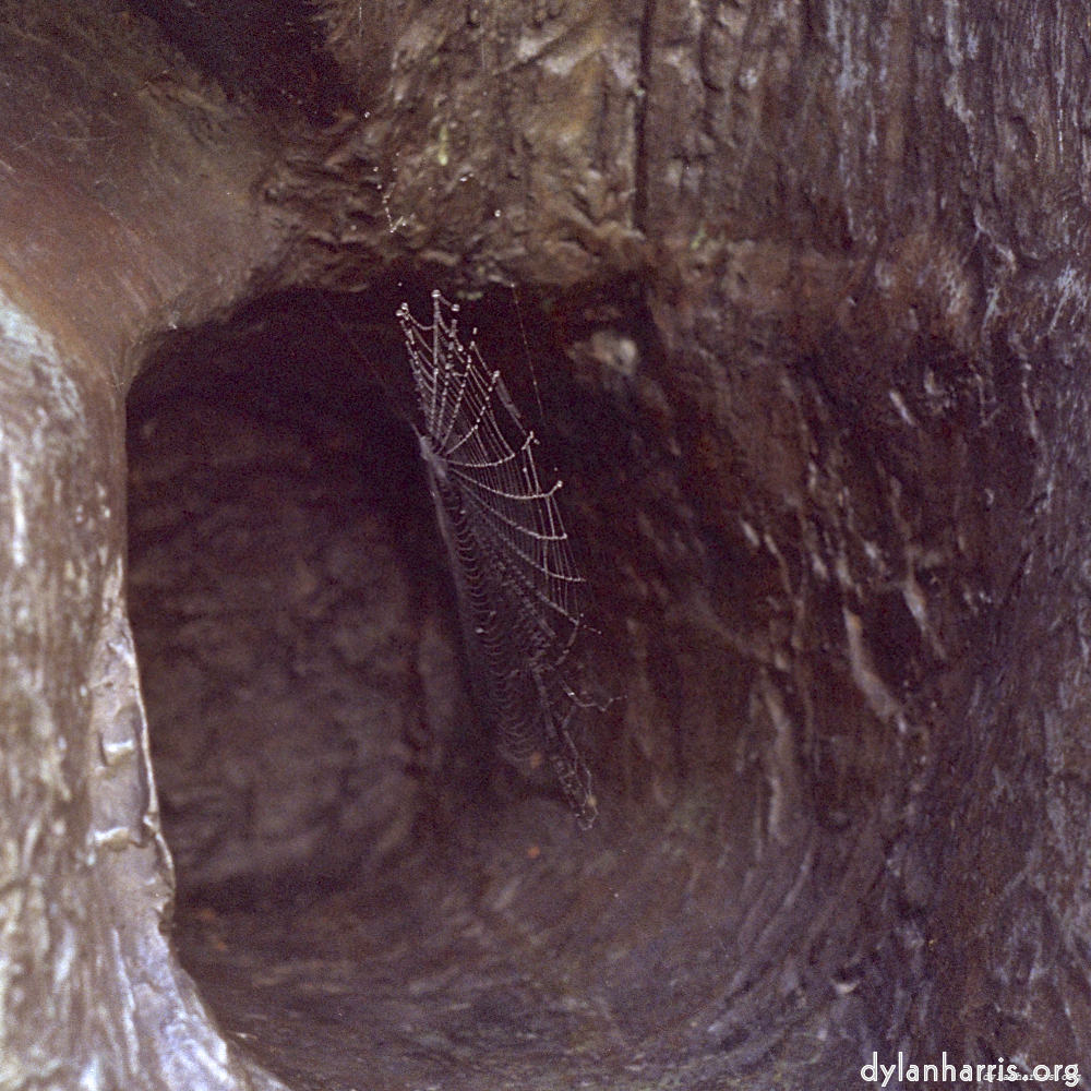 Image 'norwich (ii) 2'.