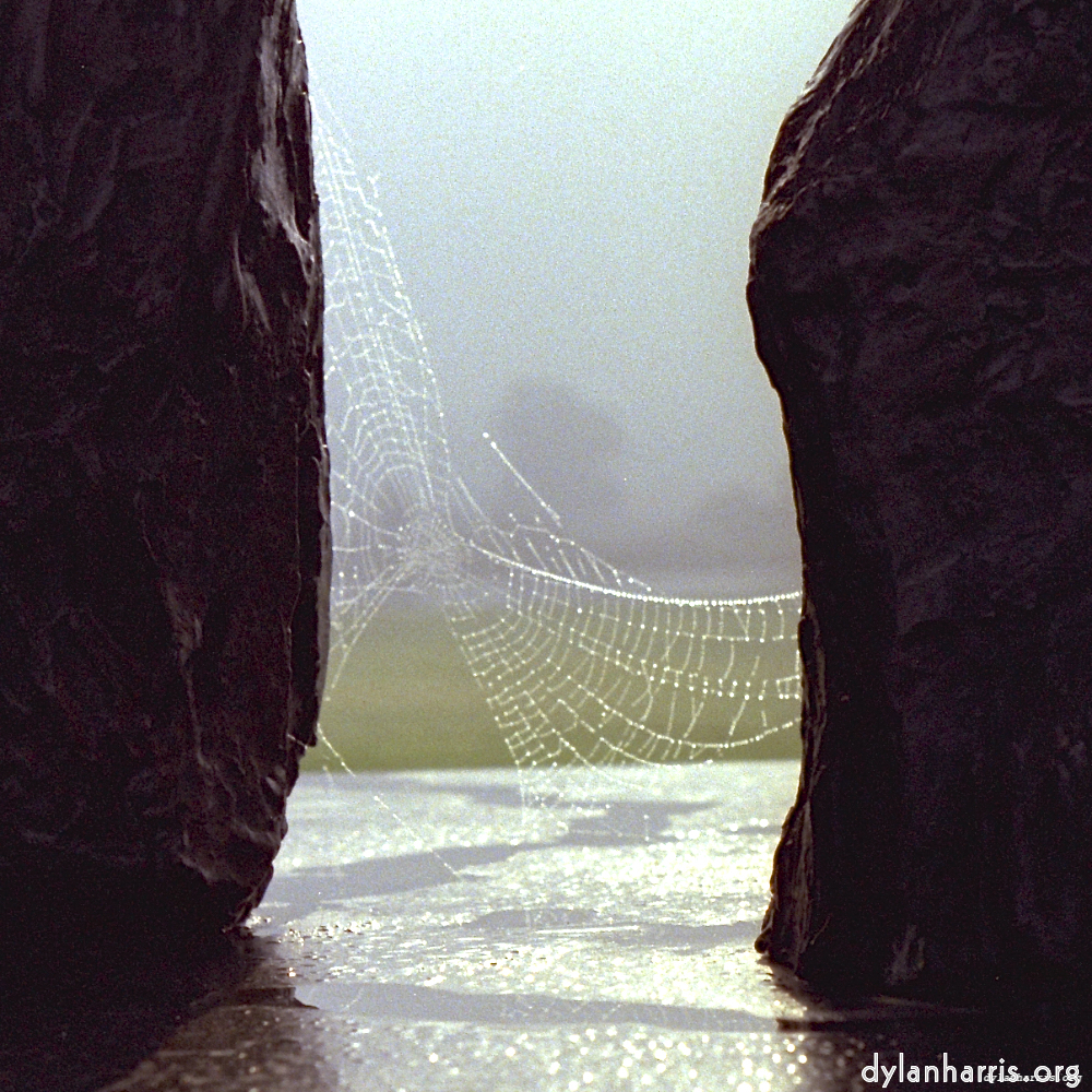 Image 'norwich (ii) 6'.