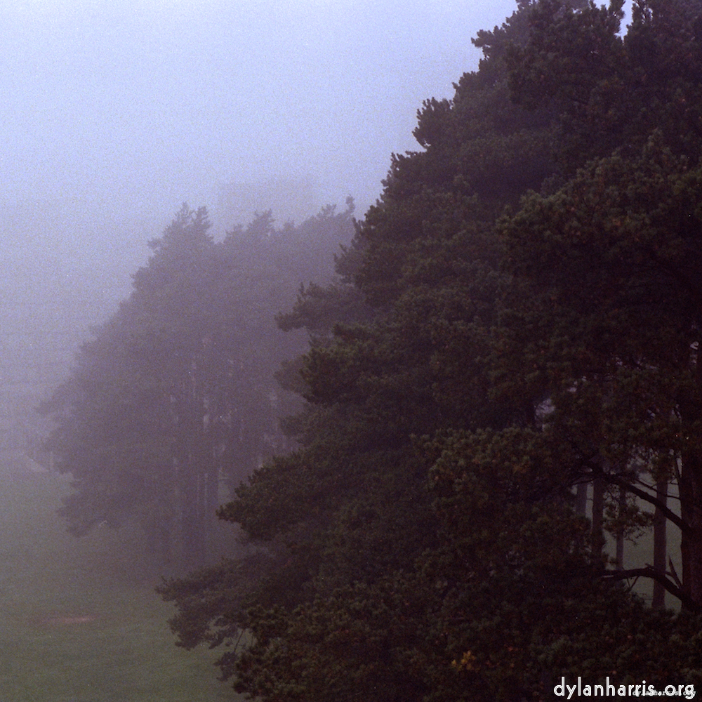 Image: Image 'norwich (ii) 8'.