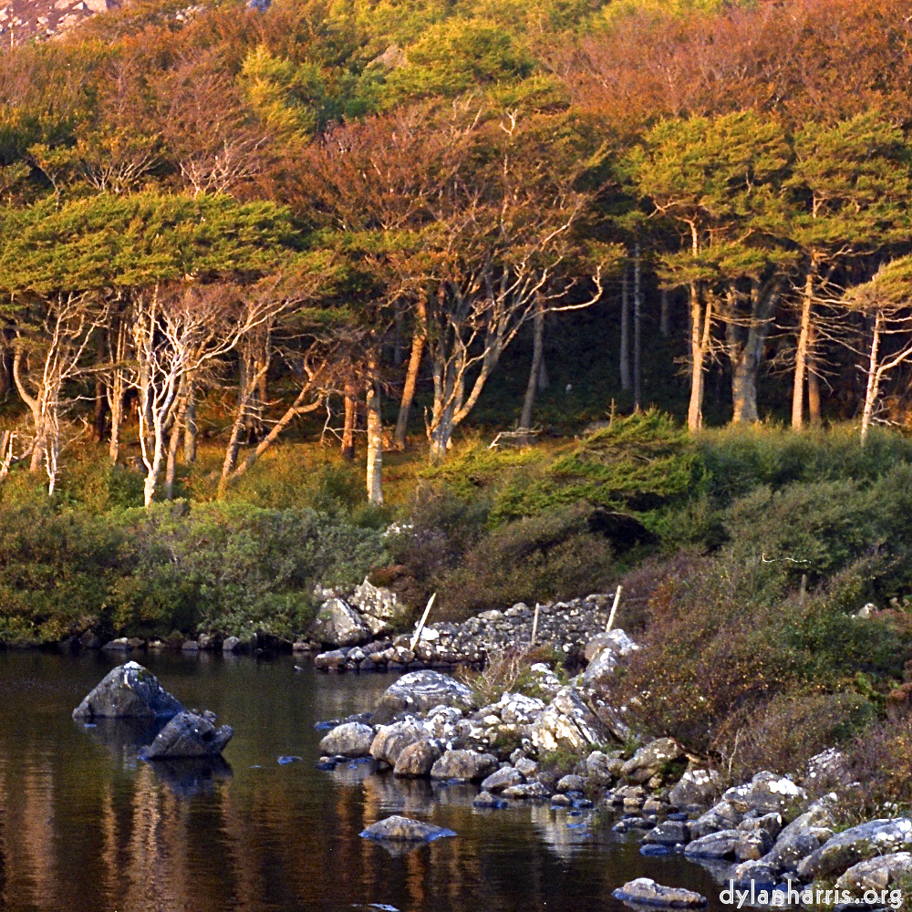 Image 'highlands (ix) 4'.