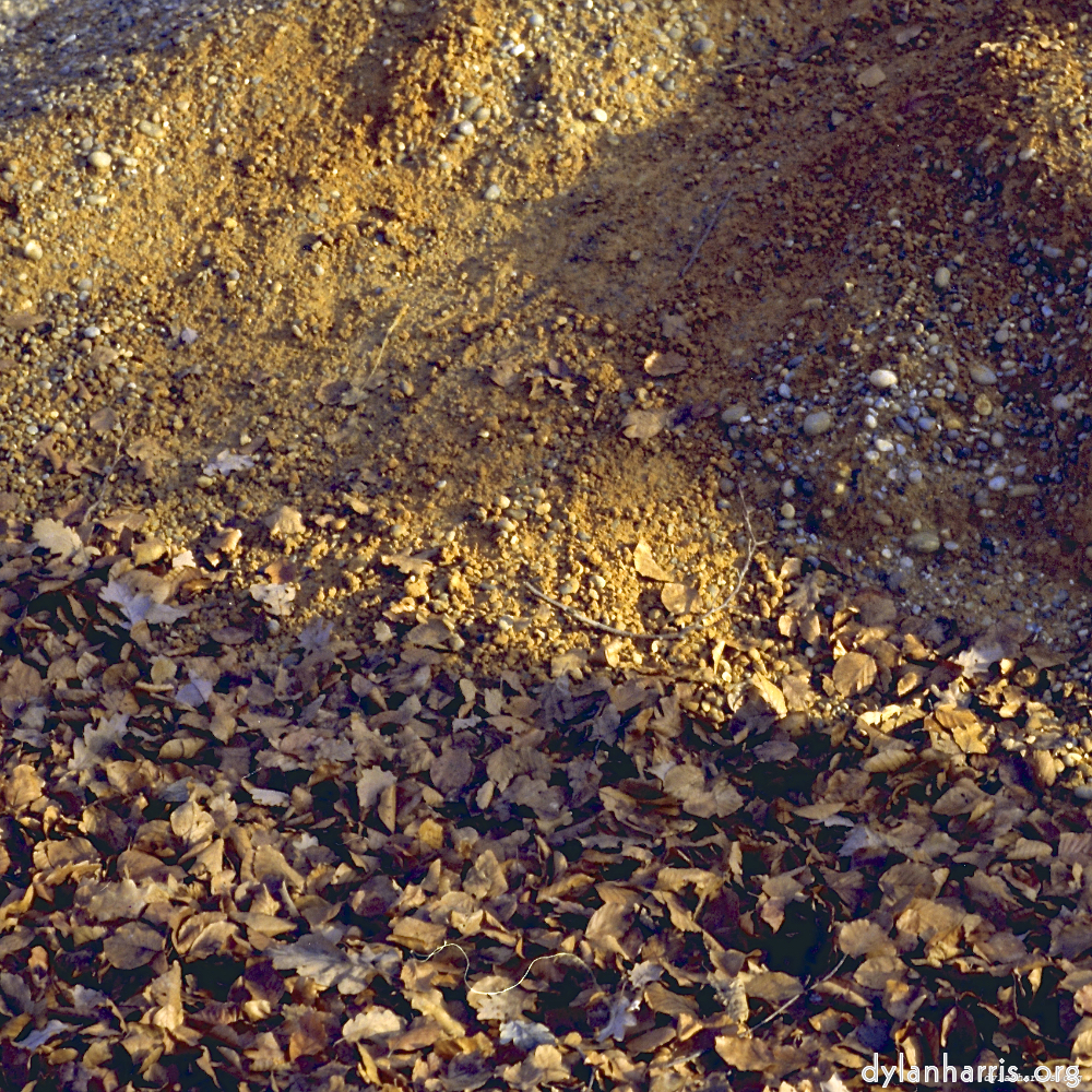 Image 'wood (xii) 3'.