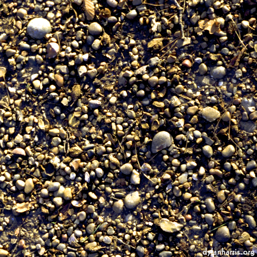 image: This is &lsquo;wood (xii) 4&rsquo;.