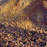 image: Image from the photoset &lsquo;wood (xii)&rsquo;.