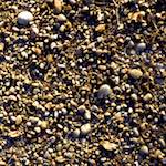 image: Image from the photoset &lsquo;wood (xii)&rsquo;.