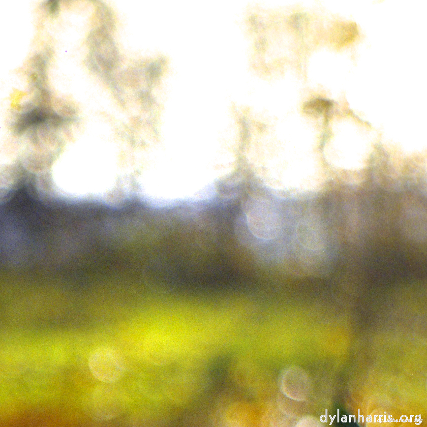 Image 'wood (xiii) 1'.