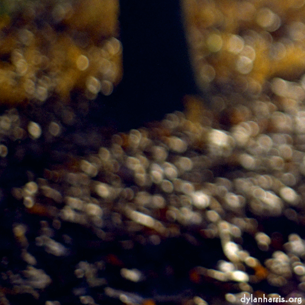 image: This is &lsquo;wood (vii) 2&rsquo;.