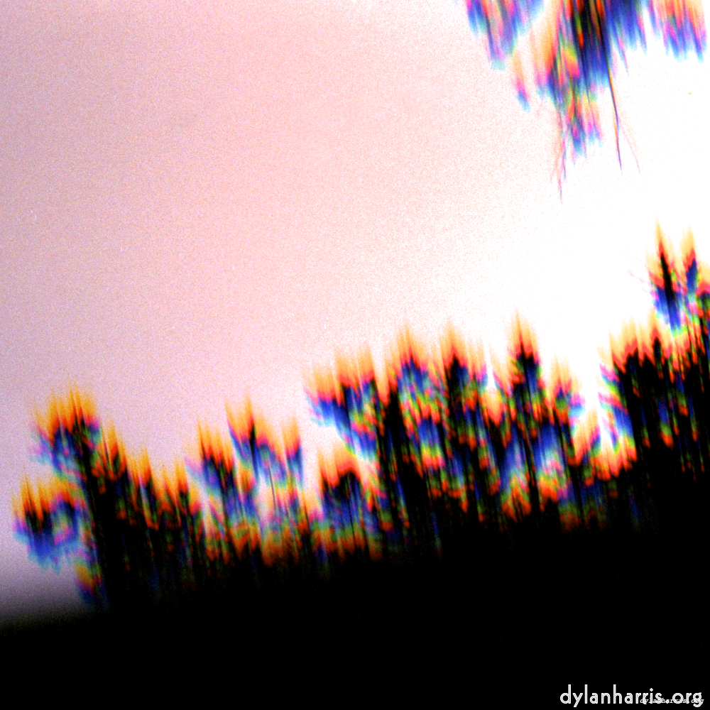 image: This is &lsquo;wood (xiii) 3&rsquo;.