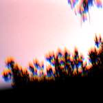 image: Image from the photoset &lsquo;wood (xiii)&rsquo;.