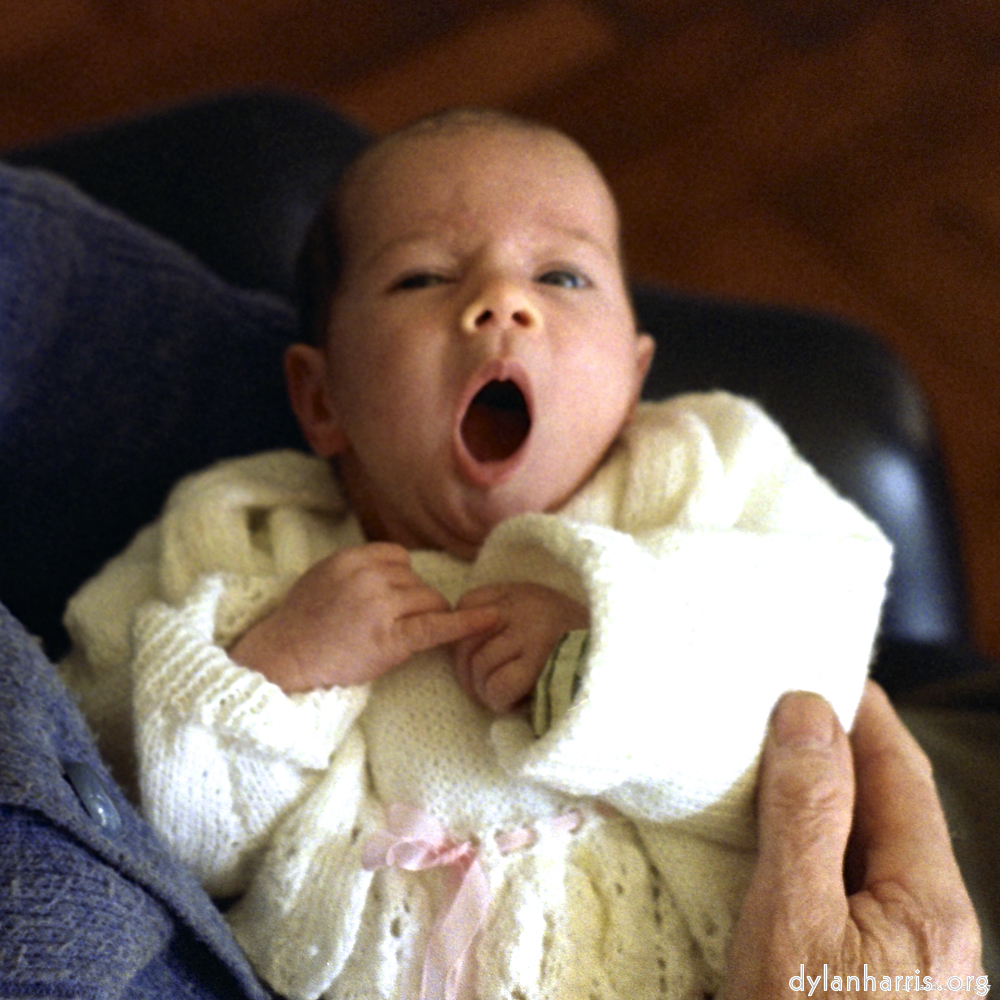 Image 'family (ix) 3'.