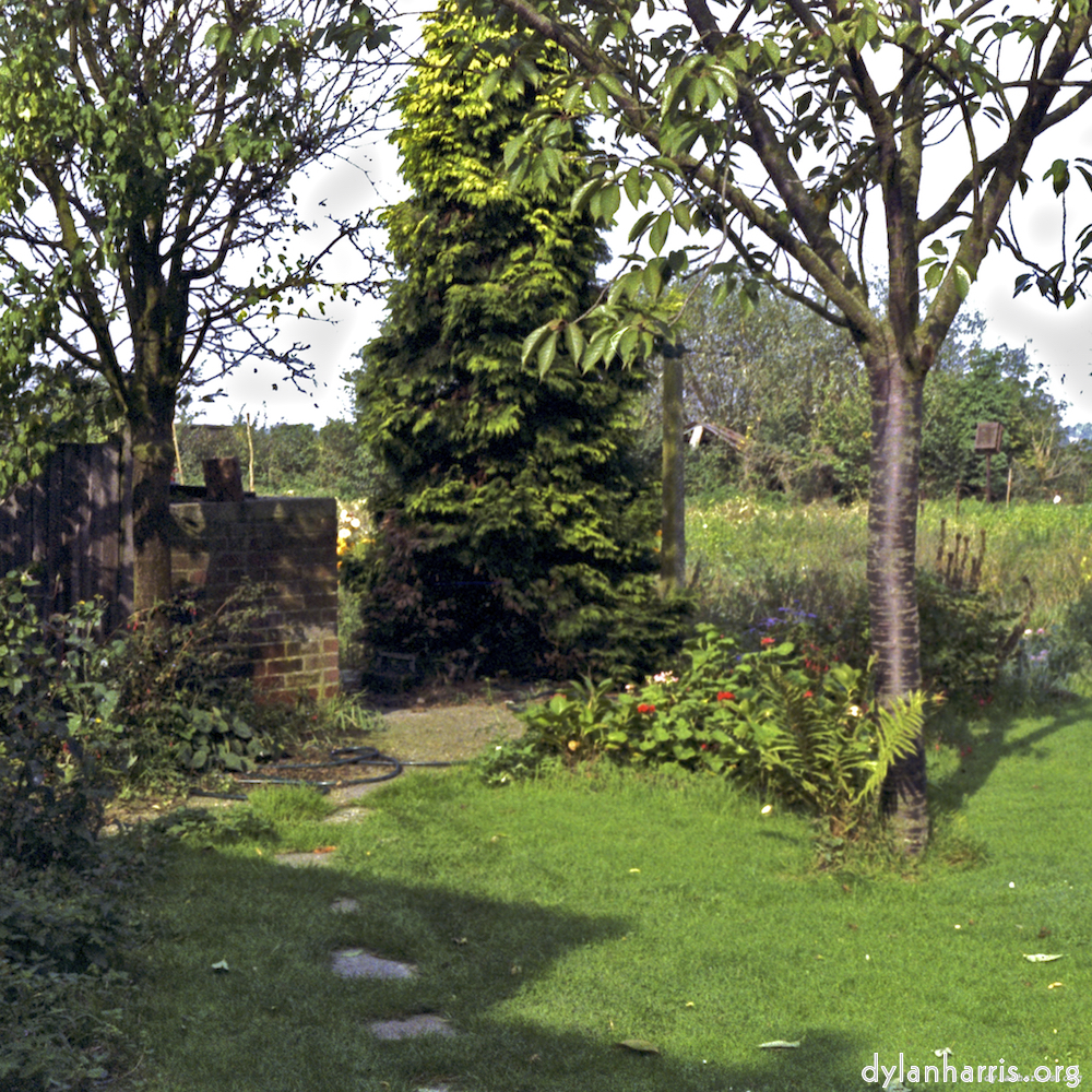 Image: Image 'family (ix) 4'.