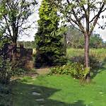 Fourth image from the photoset 'family (ix)'.