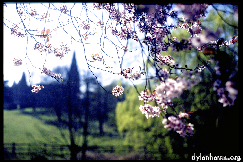 image: This is &lsquo;barnwell 2&rsquo;.