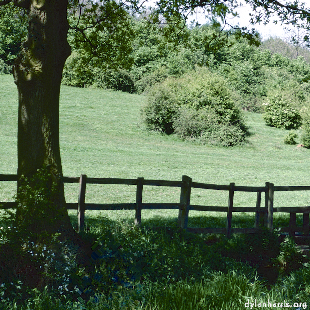 image: This is &lsquo;damage (cccv) 1&rsquo;.