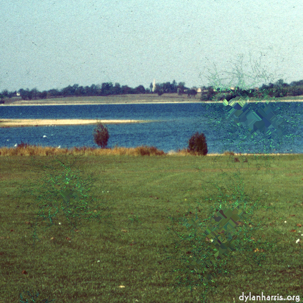 image: This is &lsquo;damage (cccv) 2&rsquo;.