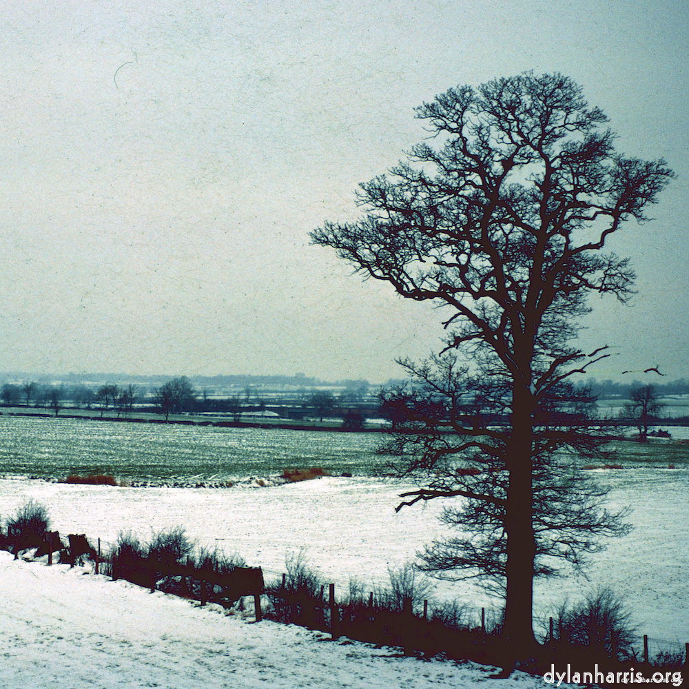 image: This is &lsquo;damage (cccv) 3&rsquo;.