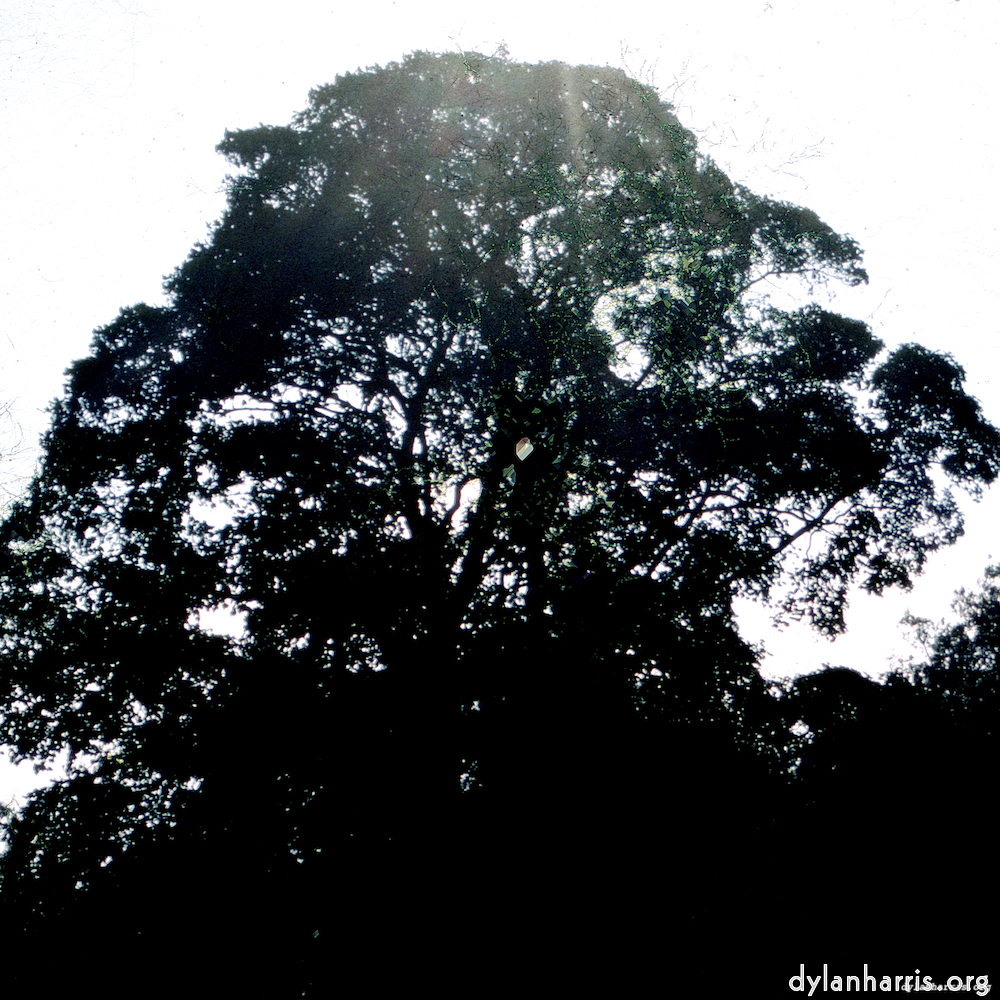 image: This is &lsquo;damage (cccv) 4&rsquo;.