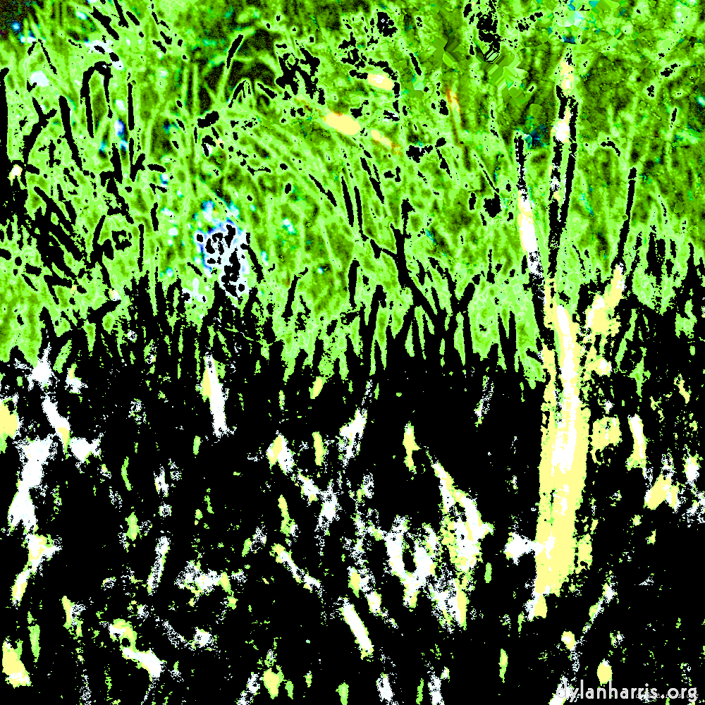 Image 'damage (cccv) 5'.