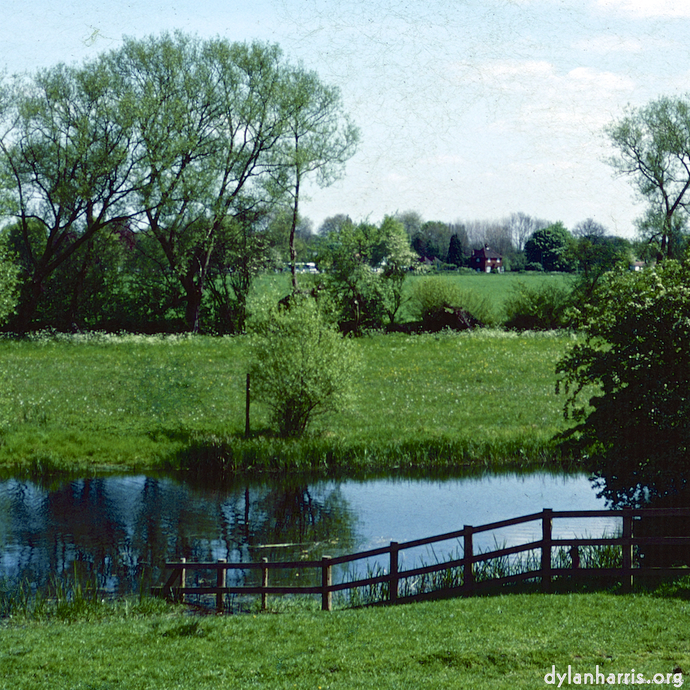 image: This is &lsquo;damage (cccv) 7&rsquo;.