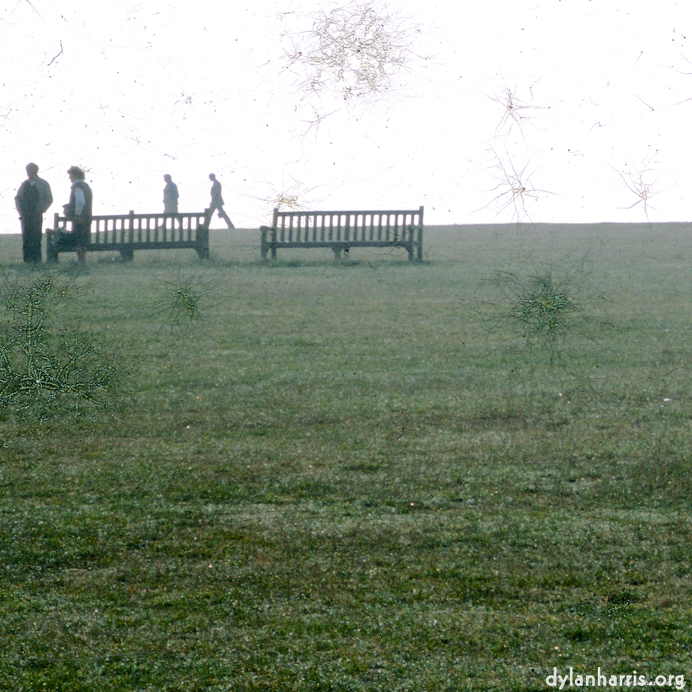 image: This is &lsquo;damage (cccv) 8&rsquo;.