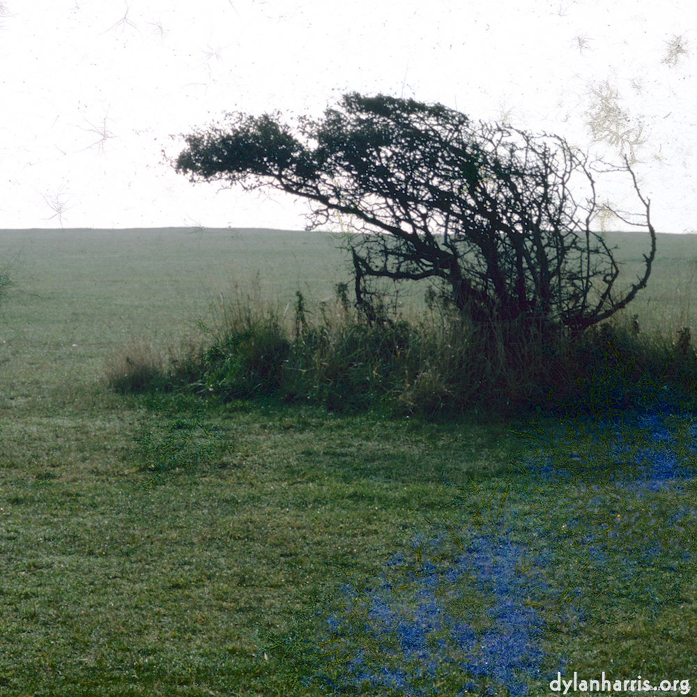 image: This is &lsquo;damage (cccv) 9&rsquo;.