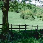 image: Image from the photoset &lsquo;damage (cccv)&rsquo;.