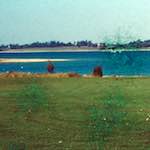 image: Image from the photoset &lsquo;damage (cccv)&rsquo;.