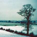 image: Image from the photoset &lsquo;damage (cccv)&rsquo;.