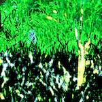 image: Image from the photoset &lsquo;damage (cccv)&rsquo;.