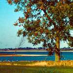 image: Image from the photoset &lsquo;damage (cccv)&rsquo;.