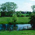 image: Image from the photoset &lsquo;damage (cccv)&rsquo;.